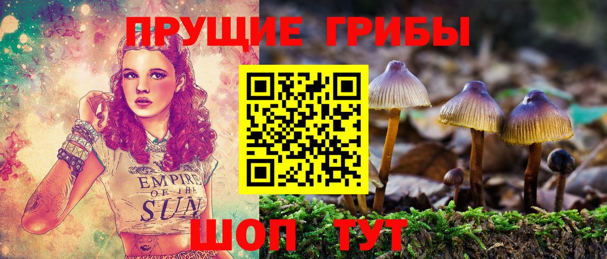 Домодедово  Галлюциногенные грибы мицелий  Псилоцибиновые грибы GOLDEN TEACHER  Вход с VPN 